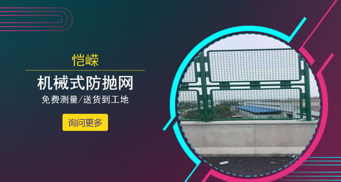 公路用防抛网标准 技术规范与咨询要点解析